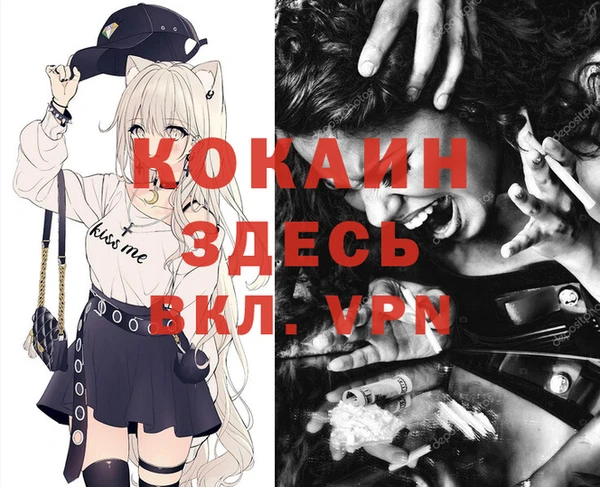 хмурый Покачи