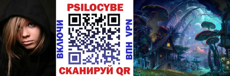 Псилоцибиновые грибы Psilocybe  Углегорск 